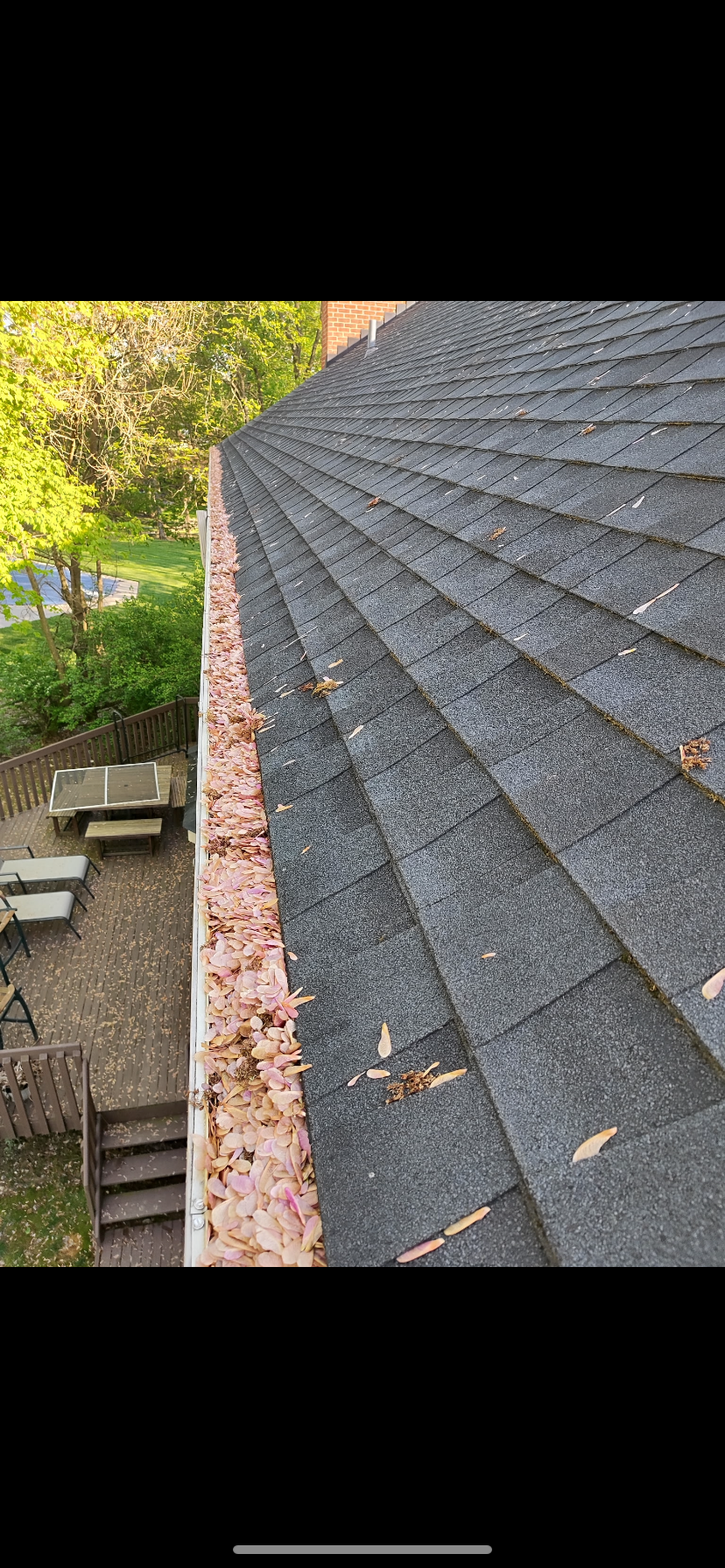 Gutter Cleaning Service